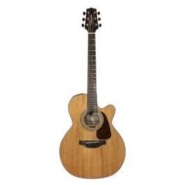 Takamine nex ctw elet g selected series