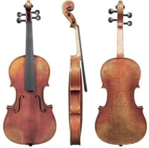 Gewa Maestro 11 con set-up