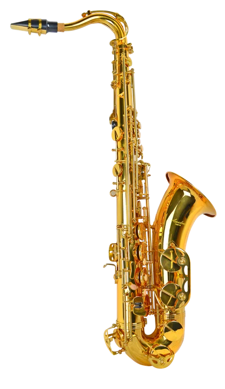 Amadeus TS910 Sax Tenore