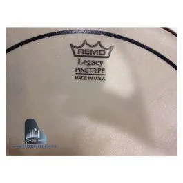 Remo pinstripe legacy sabb.13