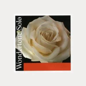 PIRASTRO WONDERTONE VIOLIN E STRING