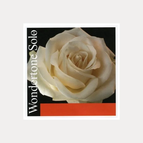 PIRASTRO WONDERTONE VIOLINO SOLO D STRINGA