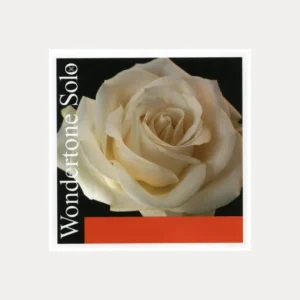 PIRASTRO WONDERTONE VIOLINO SOLO UMA CORDA