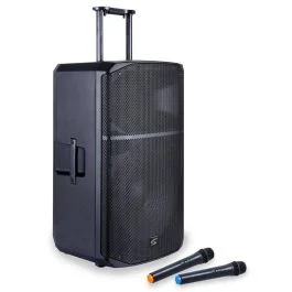 Soundsation PROVIBE 12AIR Box amplificato 2 palmari | Cavallimusica