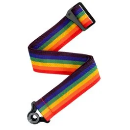 D’Addario PWSAL411 rainbow