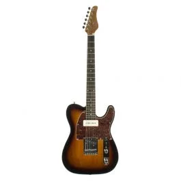 Schecter r66 original pt williams vintage