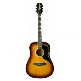 Eko Guitars ranger vi vr eq honey burst