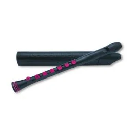Nuvo recorder+ black/pink with hard case german fing.