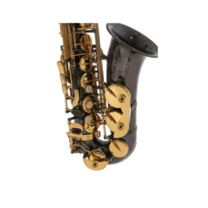 Roy Benson AS-202K Sax Alto Mib