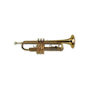 Roy Benson TR202 Tromba Sib