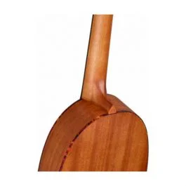 Ortega rupa5mm