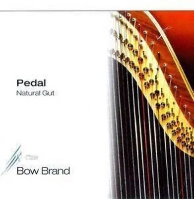SALVI BOW BRAND SI 2 OTTAVA NATURAL GUT BUDELLO CORDA PER ARPA A PEDALI