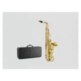 Musia Instruments sa10 sax alto da studio usato