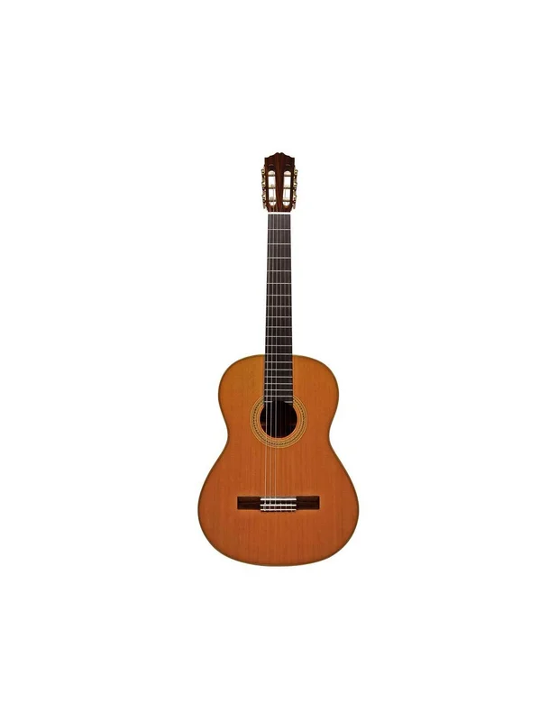 Salvador Cortez CC140