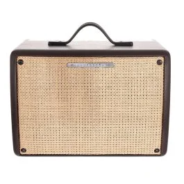 Amplificatore Acustica Ibanez T30 II Troubadour 30w