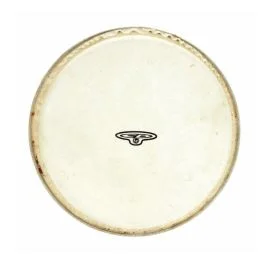 Pelle Bongo LP CP221B 7 1/4″