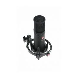 sE Electronics se 2200