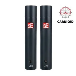 SE Electronics SE8 coppia microfoni a condensatore con case