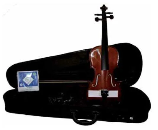DOMUS MUSICA RIALTO VIOLINO VL1040 CON CUSTODIA E ACCESSORI MISURA 1/8 VL-1040