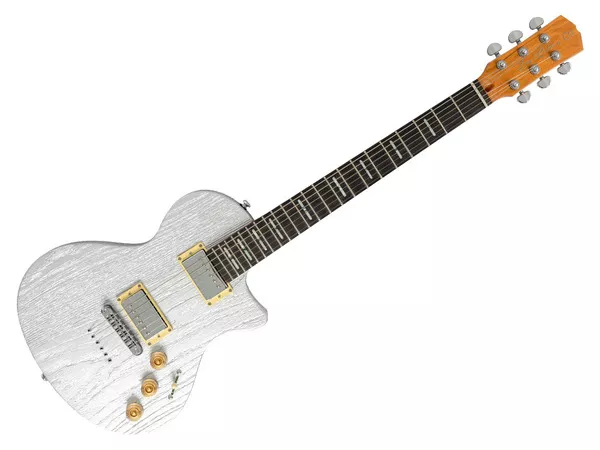 LARRY CARLTON I5H Inca silver