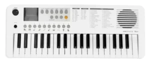 ECHORD SK37 TASTIERA PIANOLA SCUOLA 37 TASTI MINI CON USB