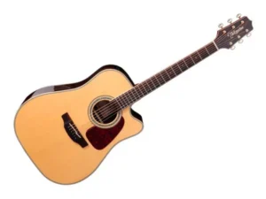 TAKAMINE GD90CE-ZC NAT
