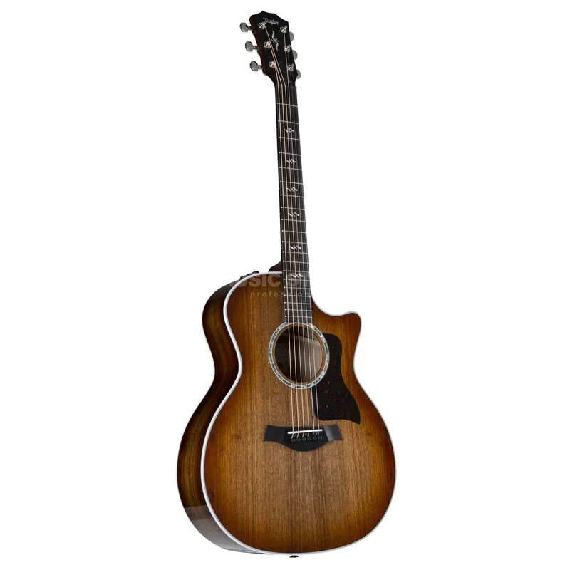 Taylor 424ce Special Edition All Walnut