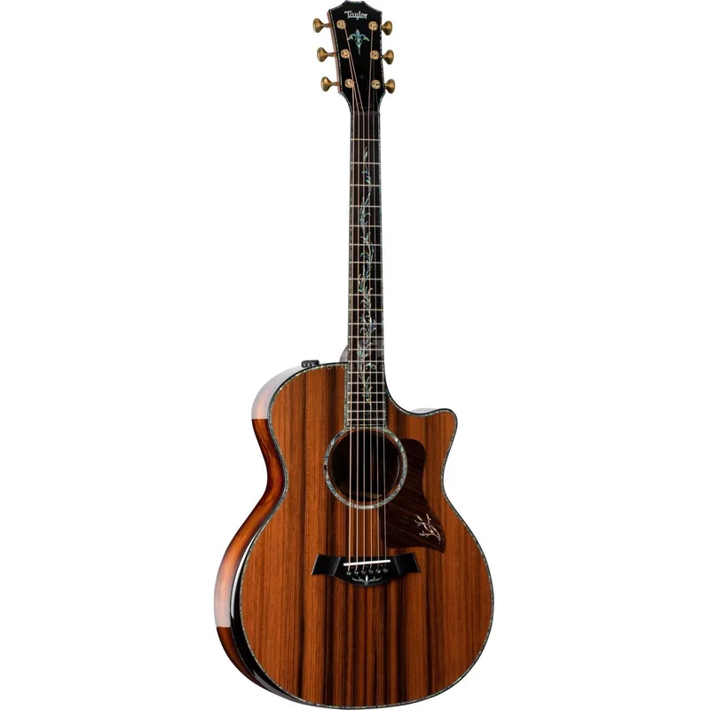 Taylor PS14ce Honduran Rosewood