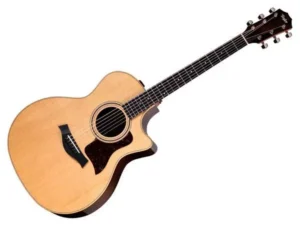 TAYLOR 414ce Studio Natural