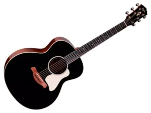 TAYLOR Gold Label 514e Blacktop