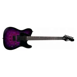 ESP LTD te-200dx purple burst