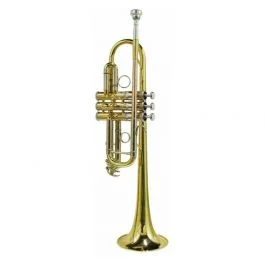 Stewart Ellis tromba in do con astuccio semi-rigido