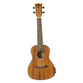 Eko uku duo ukulele concerto eq