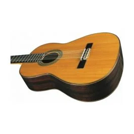 Eko Guitars vibra 500 mario gangi