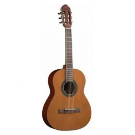 Eko Guitars vibra 75 natural