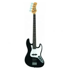 Eko Guitars vjb-200 black