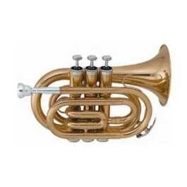 Sml Paris vsm tp50 tromba pocket laccata