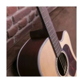 Walden wad600cew chitarra acustica natura 600