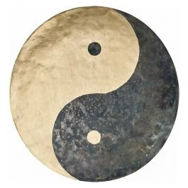 Meinl Sonic Energy wgyy28