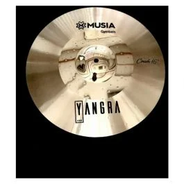 Musia Instruments yangra b10 series splash 10