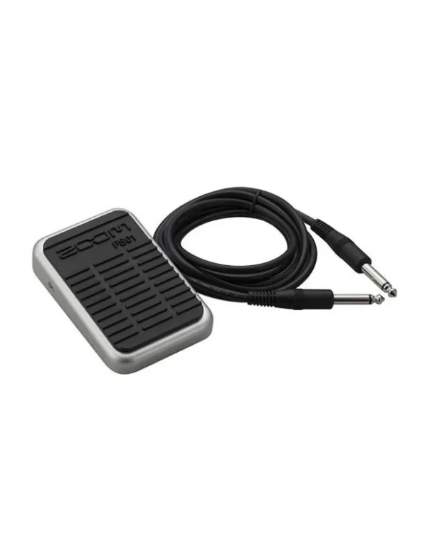 Zoom Fs01
