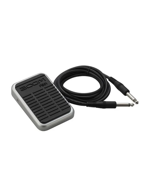Zoom Fs01